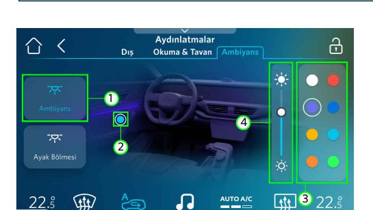 Ambiyans ayarları