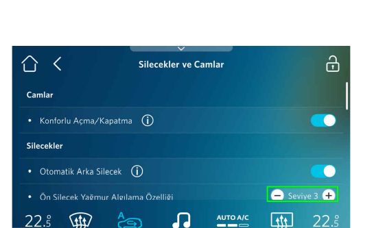 Silecekler ve Camlar ayarı
